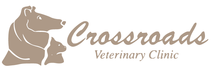Crossroads Veterinary Clinic logo