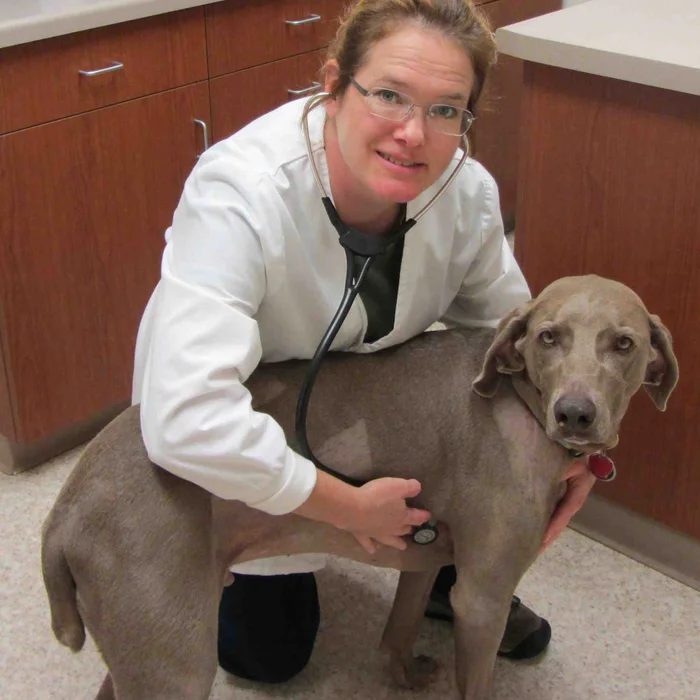 DR. tami Strom with dog