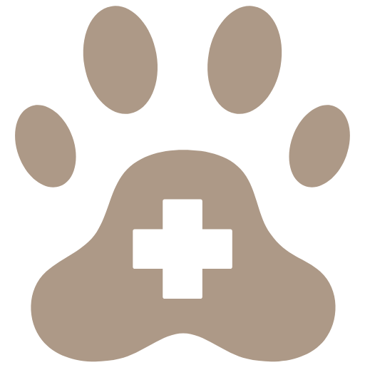 Pet Medical Visits